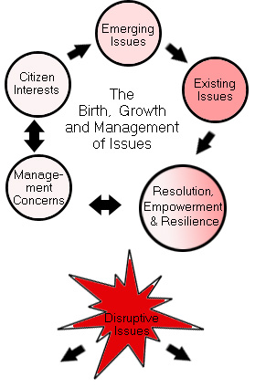 Issue Management Process