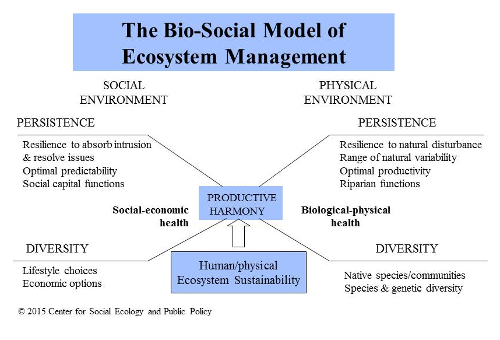 The Bio-Social Model