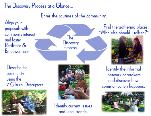 The Discovery Process at a Glance — core Social Ecology framework